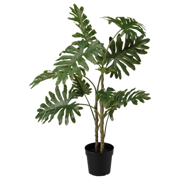 Fejka Plante Artificielle En Pot Interieur Exterieur Philodendron 9 23 Cm Ikea Fejka Plante Artificielle En Pot Interieur Exterieur Philodendron 9 23 Cm Ikea
