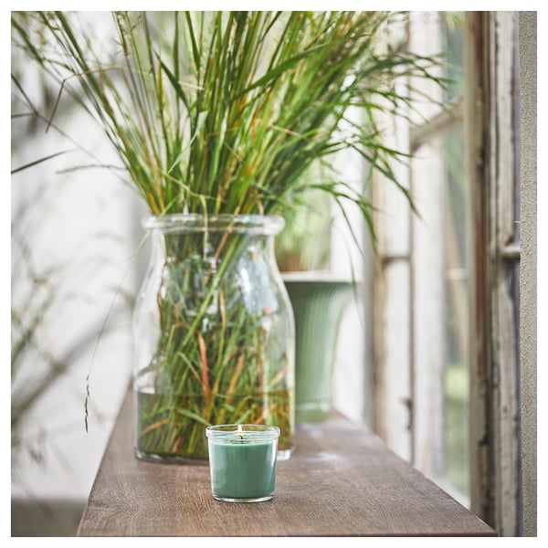 HEDERSAM Bougie parfumée en verrine, Herbe fraîche/vert clair, 20 hr
