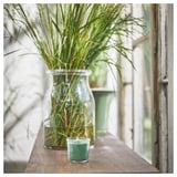 HEDERSAM Bougie parfumée en verrine, Herbe fraîche/vert clair, 20 hr