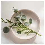 JÄMTSKOGEN Bougie parfumée en verrine, cyprès et eucalyptus/vert foncé, 45 hr
