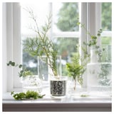 JÄMTSKOGEN Bougie parfumée en verrine, cyprès et eucalyptus/vert foncé, 45 hr