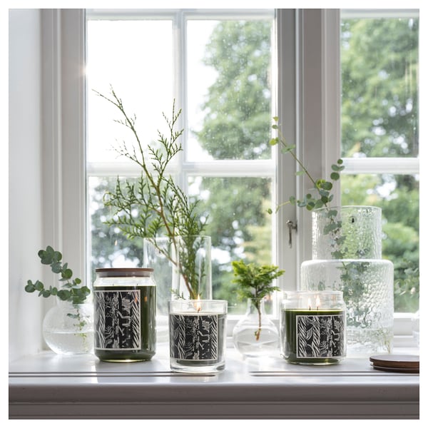 JÄMTSKOGEN Bougie parfumée en verrine, cyprès et eucalyptus/vert foncé, 45 hr
