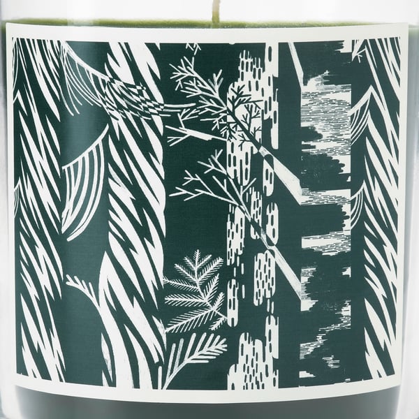 JÄMTSKOGEN Bougie parfumée en verrine, cyprès et eucalyptus/vert foncé, 45 hr