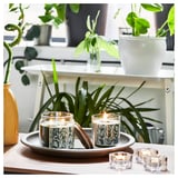 JÄMTSKOGEN Bougie parfumée en verrine, cyprès et eucalyptus/vert foncé, 45 hr