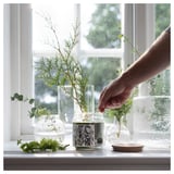 JÄMTSKOGEN Bougie parfumée verre+couv/2 mèches, cyprès et eucalyptus/vert foncé, 70 hr