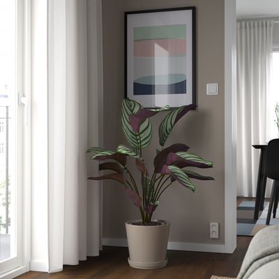 KLOTLÖNN Pot avec coupelle, intérieur/extérieur/gris/beige, 9 ½ "