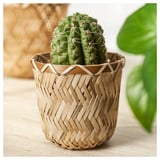 KLYNNON Cache-pot, fait main bambou, 3 ½ "