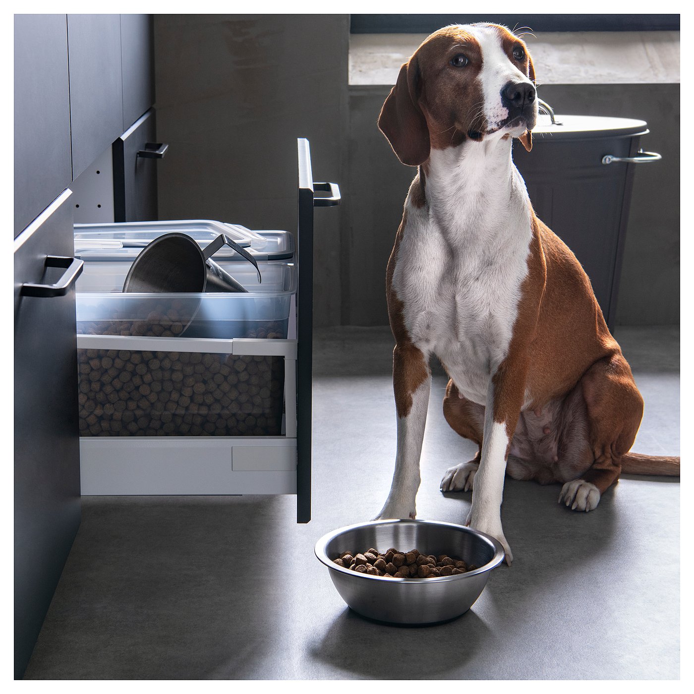 Lurvig Gamelle Acier Inox 1 6 L Ikea Canada Ikea Ca