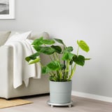 NYPON Cache-pot, intérieur/extérieur gris, 9 ½ "