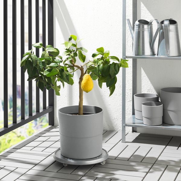 NYPON Cache-pot, intérieur/extérieur gris, 9 ½ "