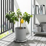 NYPON Cache-pot, intérieur/extérieur gris, 9 ½ "