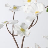 SMYCKA Branche artificielle, intérieur/extérieur/Cornouiller blanc, 39 ¼ "