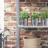 SOCKER Cache-pot, intérieur/extérieur/galvanisé, 4 ¼ "