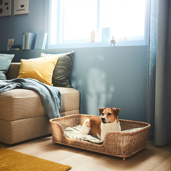 UTSÅDD Lit pour chien, rotin, 31 ½x19 ¾x7 ¾ "