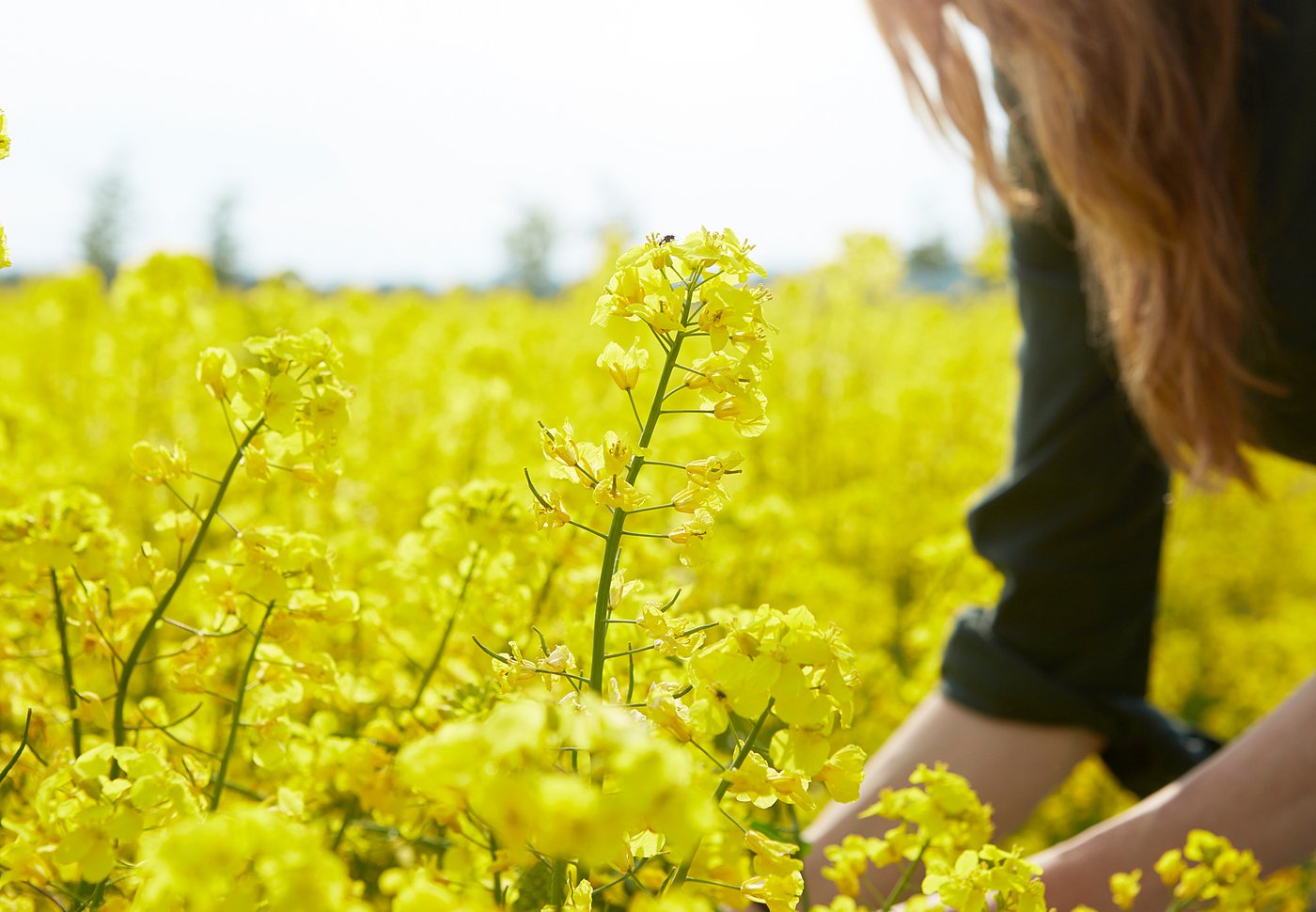 brassière la vie en rose