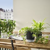 VÅRDTRÄD Pot avec réservoir, intérieur/extérieur transparent/anthracite, 4 ¾ "