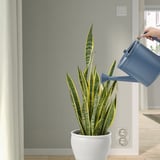 ÅKERBÄR Gießkanne, drinnen/draußen dunkelblau, 5 l