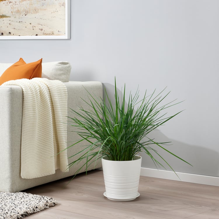 BIKARBONAT Untersetzer für Blumentopf, drinnen/draußen weiß, 21 cm