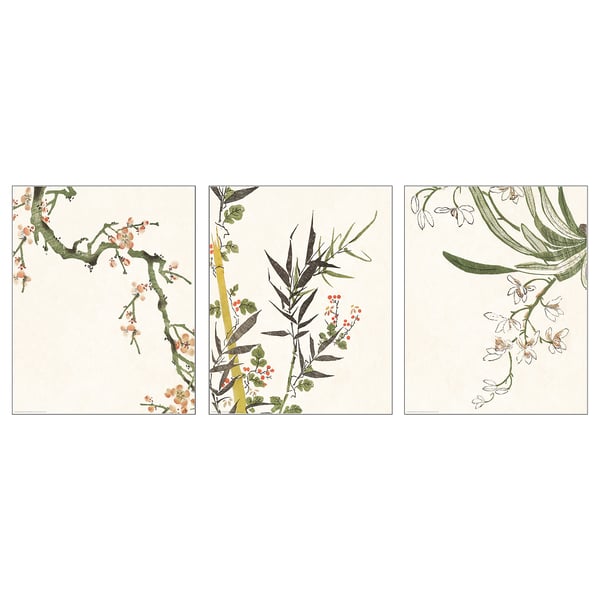 BILD Bild, Blüte, 40x50 cm