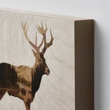 BJÖRNAMO Bild 2 St., Wilde Tiere II, 30x20 cm