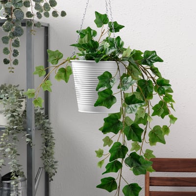 CASHEWÄPPLE Ampel, drinnen/draußen weiß, 15 cm
