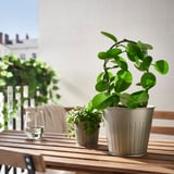 CITRONMELISS Übertopf, drinnen/draußen/grau, 15 cm