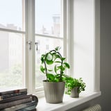 CITRONMELISS Übertopf, drinnen/draußen/grau, 15 cm