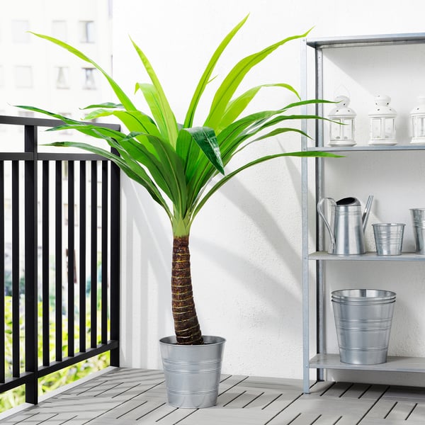 FEJKA Topfpflanze, künstlich, drinnen/draußen Palme, 24 cm IKEA Schweiz