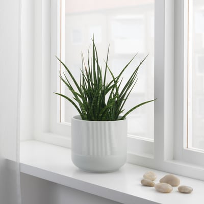 GRADVIS Übertopf, grau, 15 cm