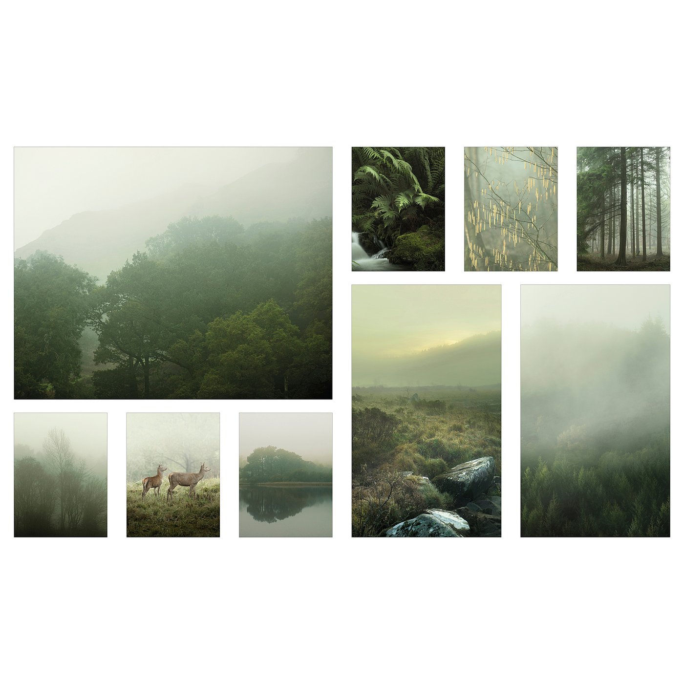 PJÄTTERYD Bild 9er-Set - Nebel im Wald 179x112 cm IKEA occasion