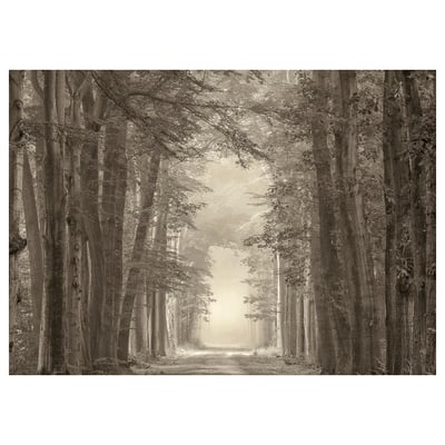 PJÄTTERYD Bild, Waldweg, 70x50 cm