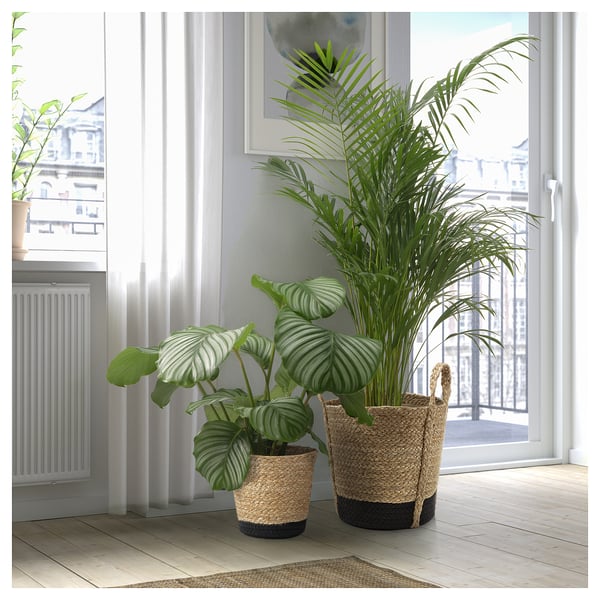 TÄRNMÅS Übertopf, drinnen/beige/schwarz, 15 cm