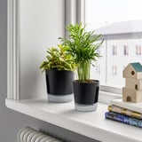 VÅRDTRÄD Selbstbewässerungstopf, drinnen/draußen transparent/anthrazit, 9 cm