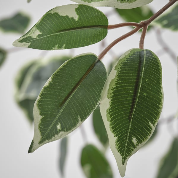FEJKA Artificial potted plant, in/outdoor/weeping fig, 23 cm