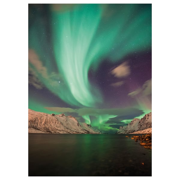 PJÄTTERYD Picture, Aurora III, 50x70 cm