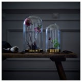 BEGÅVNING Cloche en verre avec socle, 26 cm