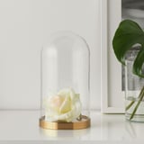 BEGÅVNING Cloche en verre avec socle, 26 cm