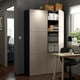 BESTÅ Combinaison rangement portes, brun noir/Lappviken beige-gris clair, 120x42x193 cm