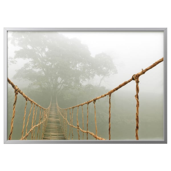 Bjorksta Image Avec Cadre Voyage Dans La Jungle Couleur Aluminium Ikea Suisse