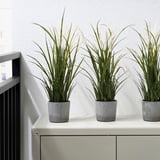 BOYSENBÄR Cache-pot, intérieur/extérieur gris clair, 9 cm