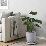 BOYSENBÄR Cache-pot, intérieur/extérieur gris clair, 24 cm