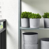 BOYSENBÄR Cache-pot, intérieur/extérieur gris clair, 12 cm