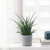 BOYSENBÄR Cache-pot, intérieur/extérieur gris clair, 12 cm