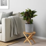 BOYSENBÄR Cache-pot, intérieur/extérieur gris clair, 19 cm