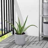 BOYSENBÄR Cache-pot, intérieur/extérieur gris clair, 19 cm