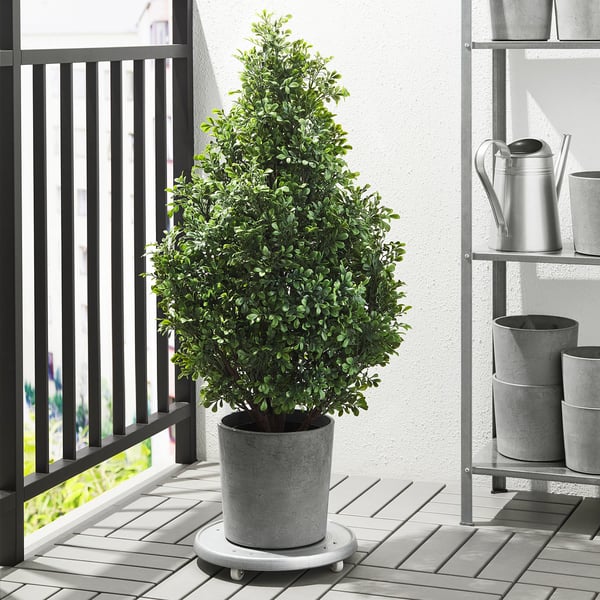 BOYSENBÄR Cache-pot, intérieur/extérieur gris clair, 19 cm