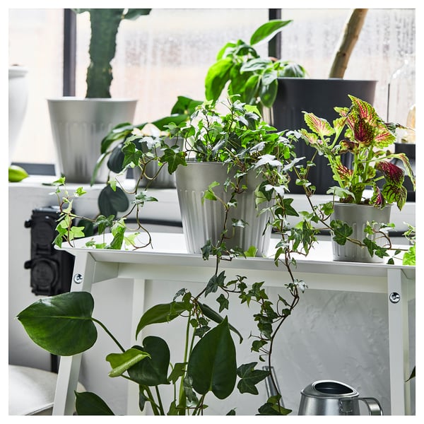 CITRONMELISS Cache-pot, intérieur/extérieur/gris, 15 cm