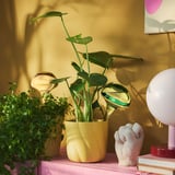 DOFTRIPS Dispositif d'arrosage, verre/rose vert, 40 cl