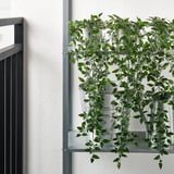 FEJKA Plante artificielle, intérieur/extérieur/à accrocher, 9 cm
