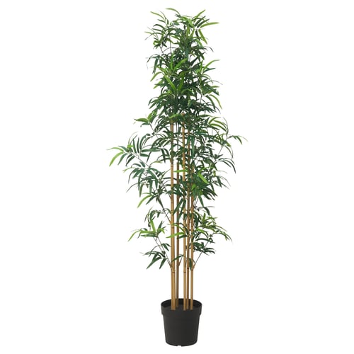FEJKA Plante artificielle, intérieur/extérieur bambou, 23 cm